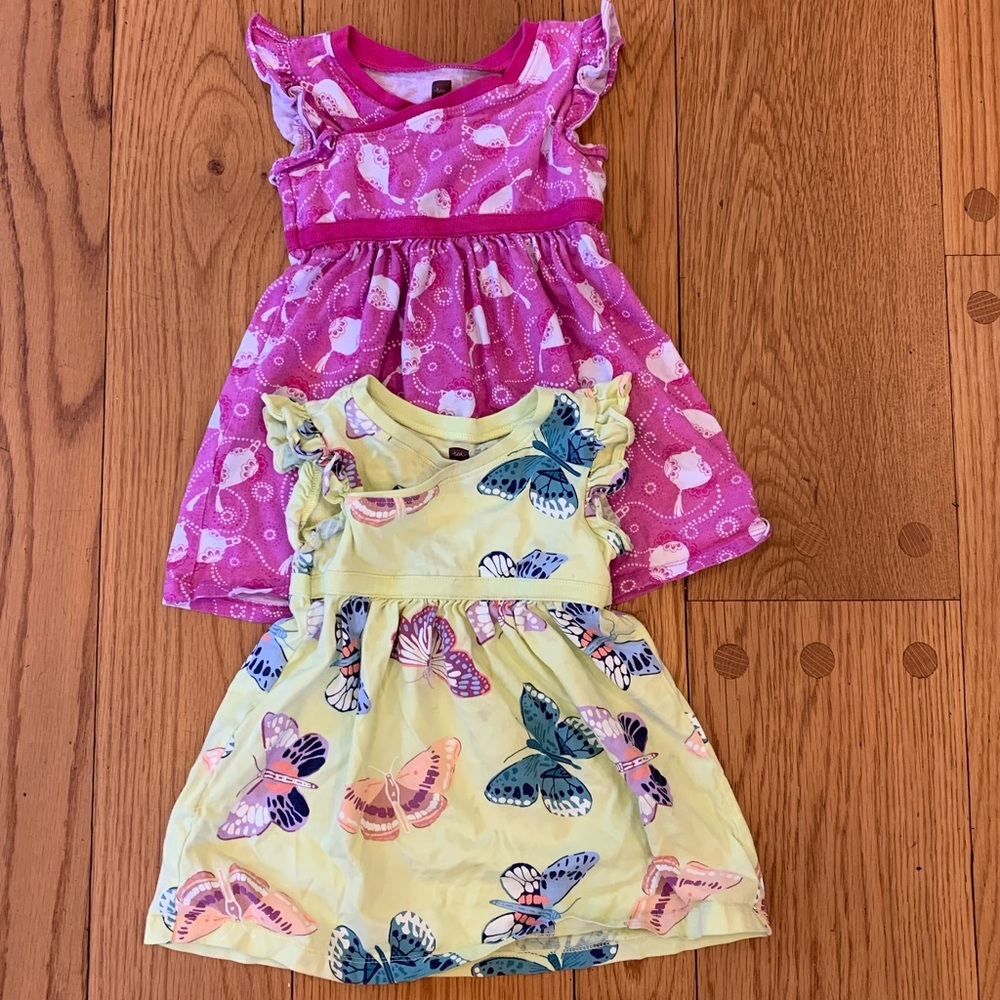 Bundle of two baby dresses from Tea Collection